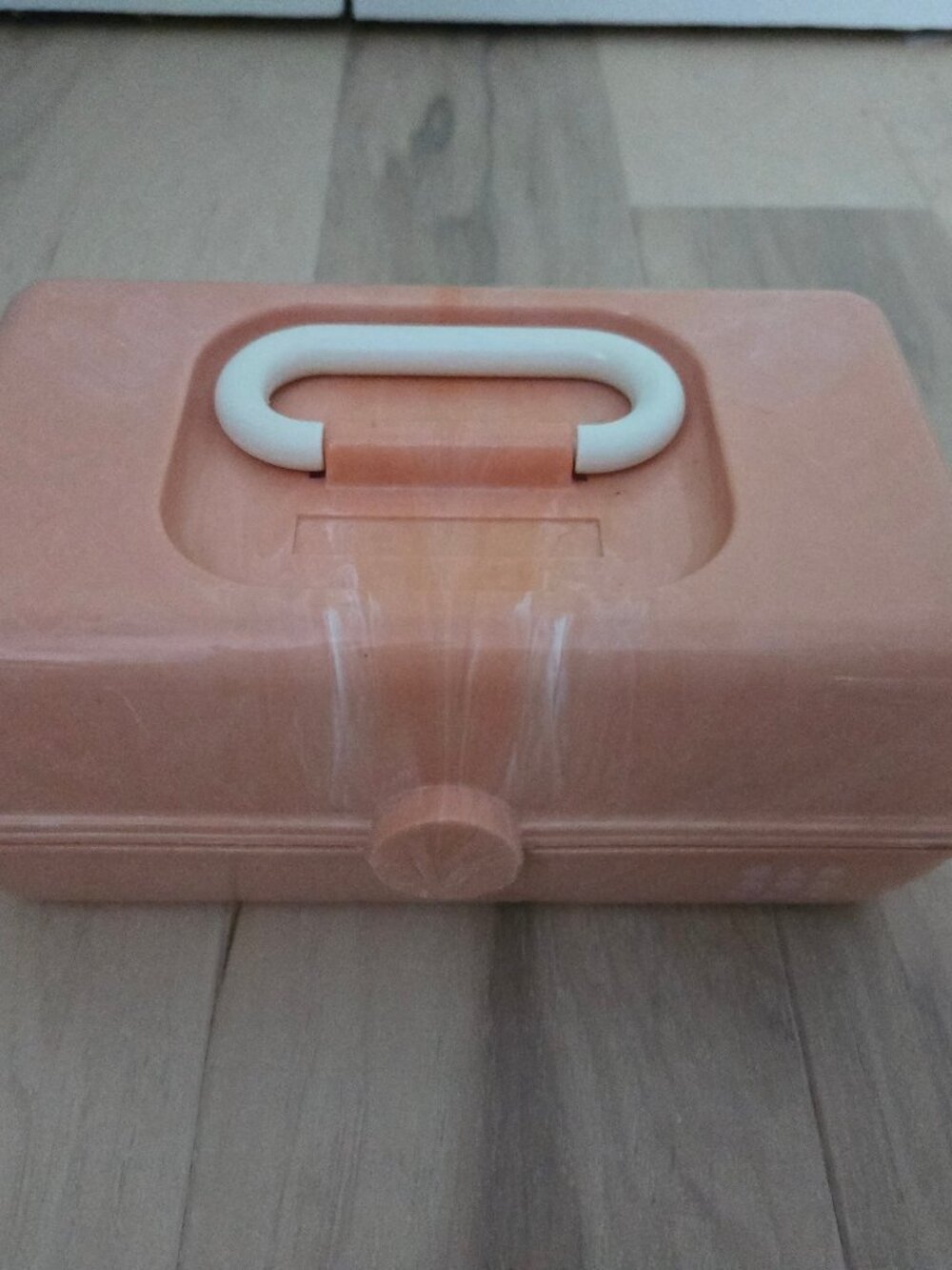 Caboodle Petite Case